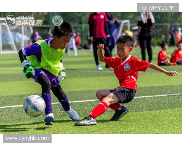 从小球场到国际舞台揭秘足球明星的成长之路